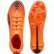 3. Puma Ultra 6 Ultimate FG 108557-03 shoes
