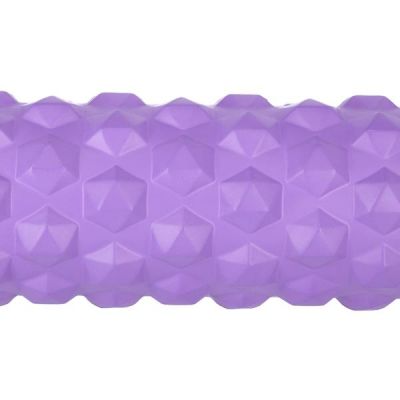 9. Fitness Roller HMS PURPLE FS107 