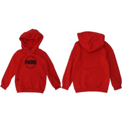 3. Puma DCT Hoodie Jr 849258 sweatshirt 11