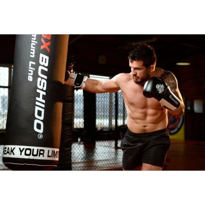 5. 10oz Boxing Gloves - Phantom White - Valor Series