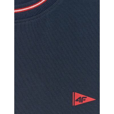 5. Men's regular plain T-shirt 4F 4FRSS26TTSHM3997-31S