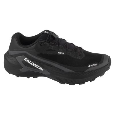Salomon Genesis 2 GTX L49300300 Black 41 1/3