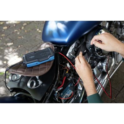 9. Ansmann 1001-0143 Vehicle Charger 6 - 12 V Black