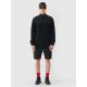 6. Men's sweatshirt without zipper, without hood, 4F 4FRSS24TSWSM2035-20S