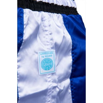 10. TOP TEN kick light shorts (WAKO APPROVED)