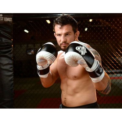 2. 10oz Boxing Gloves - Edge - Valor Series