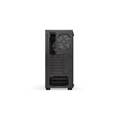 51. ENDORFY Signum 300 ARGB case