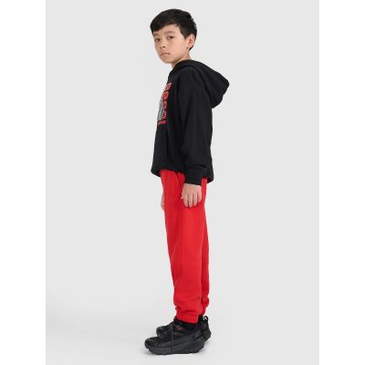 3. Boys' jogger sweatpants 4F 4FJRAW25TTROM1634-62S