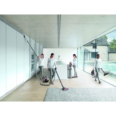 17. Dyson Cinetic Big ball Absolute 2 0.8L Cylinder Vacuum Dry 700W Bagless