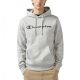 Champion Men's Hooded Sweatshirt 221809.EM021
