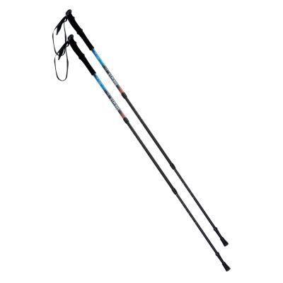 3. Pokara trekking poles