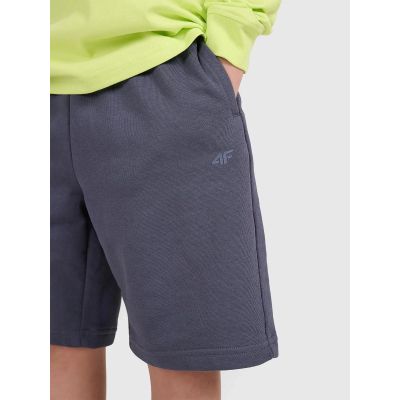 5. Boys' sweatpants 4F 4FJRSS25TSHOM684-22S