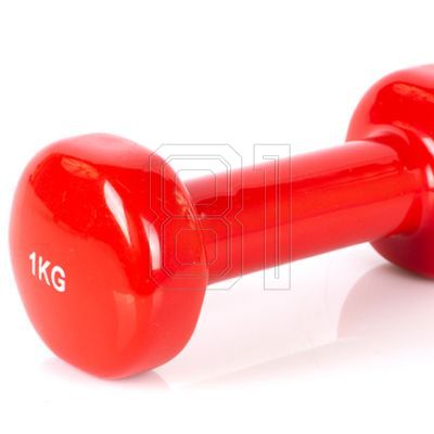9. PROfit vinyl weight 0.5kg DK 4102