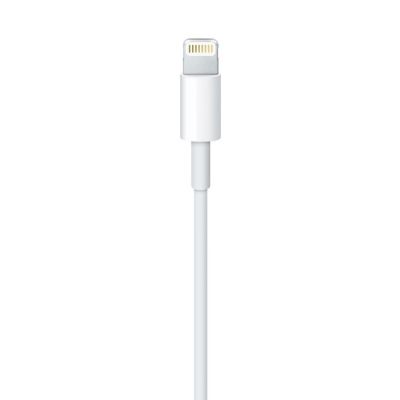 2. Apple Lightning to USB Cable (2m) MD819ZM/A