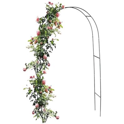 14. KINZO ROSES PERGOLA GATE