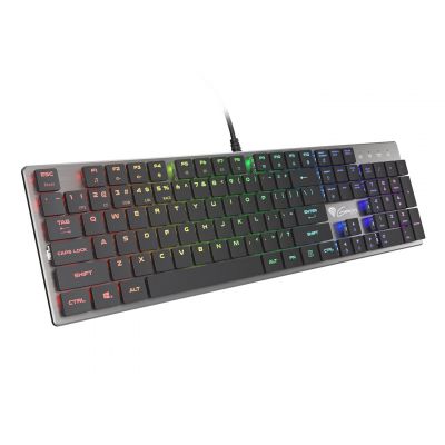 GENESIS Thor 420 RGB Gaming Keyboard USB AZERTY US English Silver