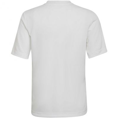 3. adidas Entrada 22 Graphic Jersey Jr HF0120