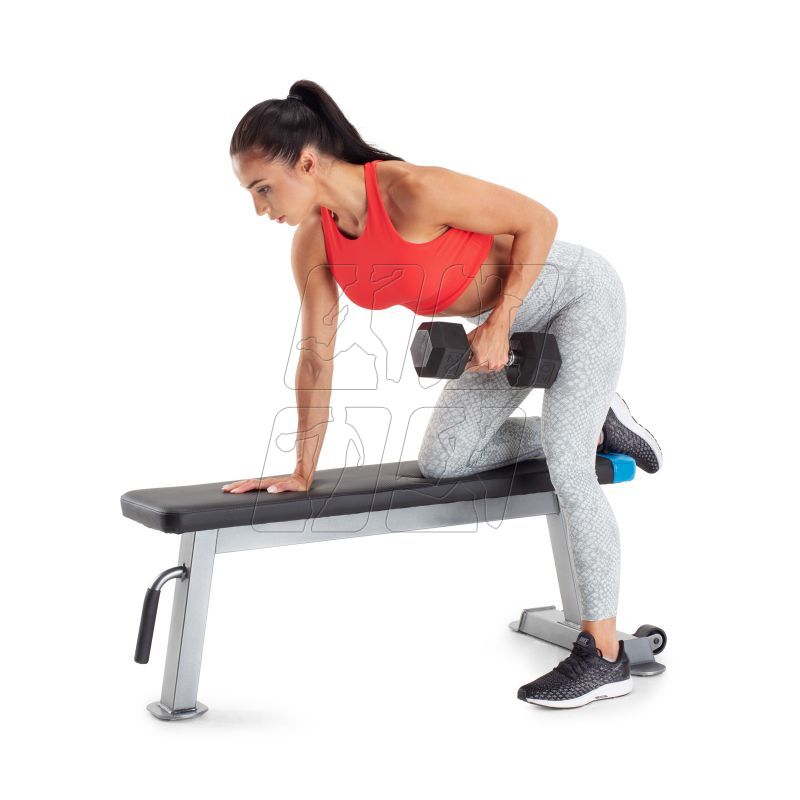 14. Proform Carbon Strength PFBE09620 horizontal bench