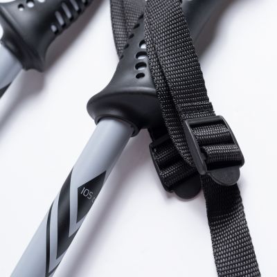 4. ALPINE SKI II poles