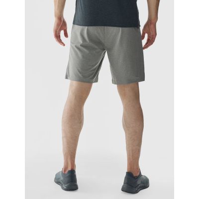 3. Men's 4F quick-drying regular training shorts 4FWAW24TFSHM697-25M