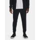 11. Under Armor M 1380843-001 pants