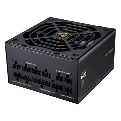 COUGAR CGRGDN-1000 Power Supply Module 1000 W 20+4 Pin ATX ATX Black