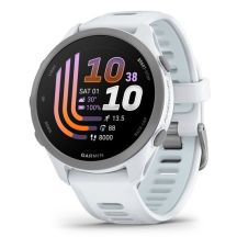 Garmin Forerunner 170 42.6 mm Whitestone Cloud Blue