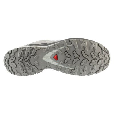 4. Salomon XA Pro 3D v9 GTX L49199100 Grey 46 2/3