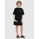 3. Boys' beach shorts 4F 4FJWSS25UBDSM116-45S