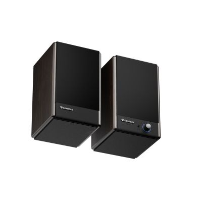 6. GENESIS ARSEN 402BT 2-Way Brown Wired and Wireless 60 W