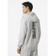 6. Helly Hansen Core Graphic Sweat Hoodie M 53924 825