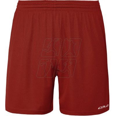 2. Colo Verse Volleyball Shorts M 11