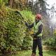 20. Hedge Trimmer 65cm, 54V DCMPH566N DEWALT