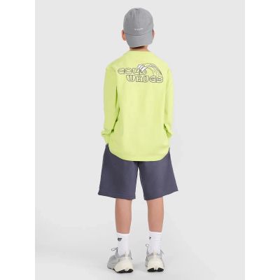 2. Boys' sweatpants 4F 4FJRSS25TSHOM684-22S