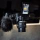 7. Canon EOS R50 + RF-S 18-45mm CREATOR KIT Camera with 24.2 MP