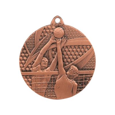 4. bronze medal - volleyball
