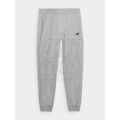 6. Sweatpants 4F M 4FWMM00TTROM0943-27M