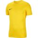 3. T-Shirt Nike Dry Park VII JSY SS M BV6708 719