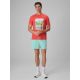 3. Men's regular printed T-shirt 4F 4FRSS26TTSHM4304-63S