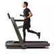 8. Horizon Fitness Omega Z-02 HZ-OMEGAZ-02GG Electric Treadmill Graphite