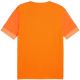 2. Puma teamGoal Matchday Jersey M 705747 08