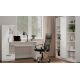 8. COSMO WHITE DESK + SHELVING SET