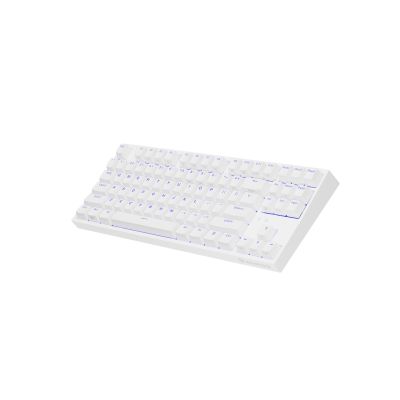 12. GENESIS Thor 404 TKL Keyboard Gaming USB QWERTY American International White