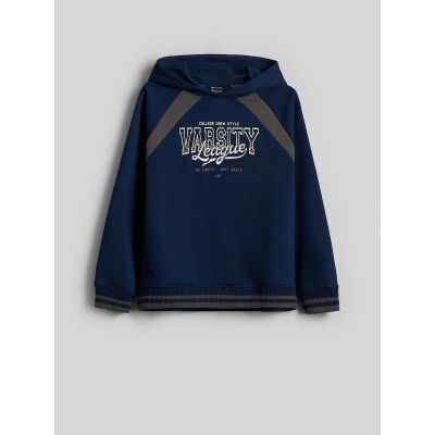 6. Boys' Loose-Fit Hooded Sweatshirt 4F 4FJRAW26TSWSM3193-31S