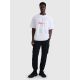 6. Men's oversized printed T-shirt 4F 4FRAW25TTSHM3257-10S