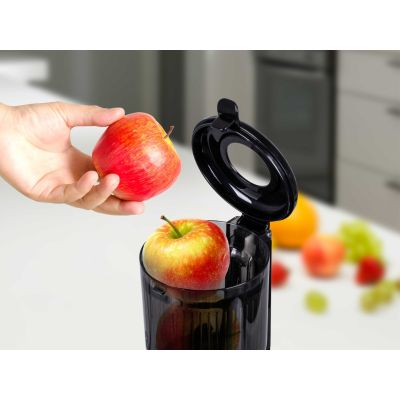 29. ELDOM SLOW JUICER PJ350 250 W BLACK TWO FILTERS NEW GENERATION HEAVY PRESS