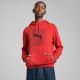 3. Puma Ess Logo Lab Hoodie FL M 684669 15