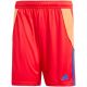 7. adidas Tiro 24 M IT2416 shorts