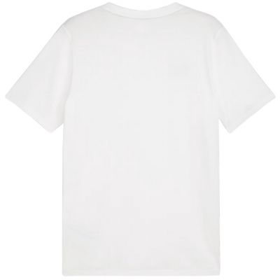 4. Puma Team Goal Casuals Tee M 658615 04