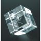 7. Engraved glass trophy with case